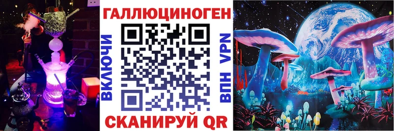 Псилоцибиновые грибы Psilocybe  Томари 